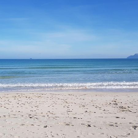 Ideal Property Mallorca - Barcares Nou Alcudia  Dış mekan fotoğraf